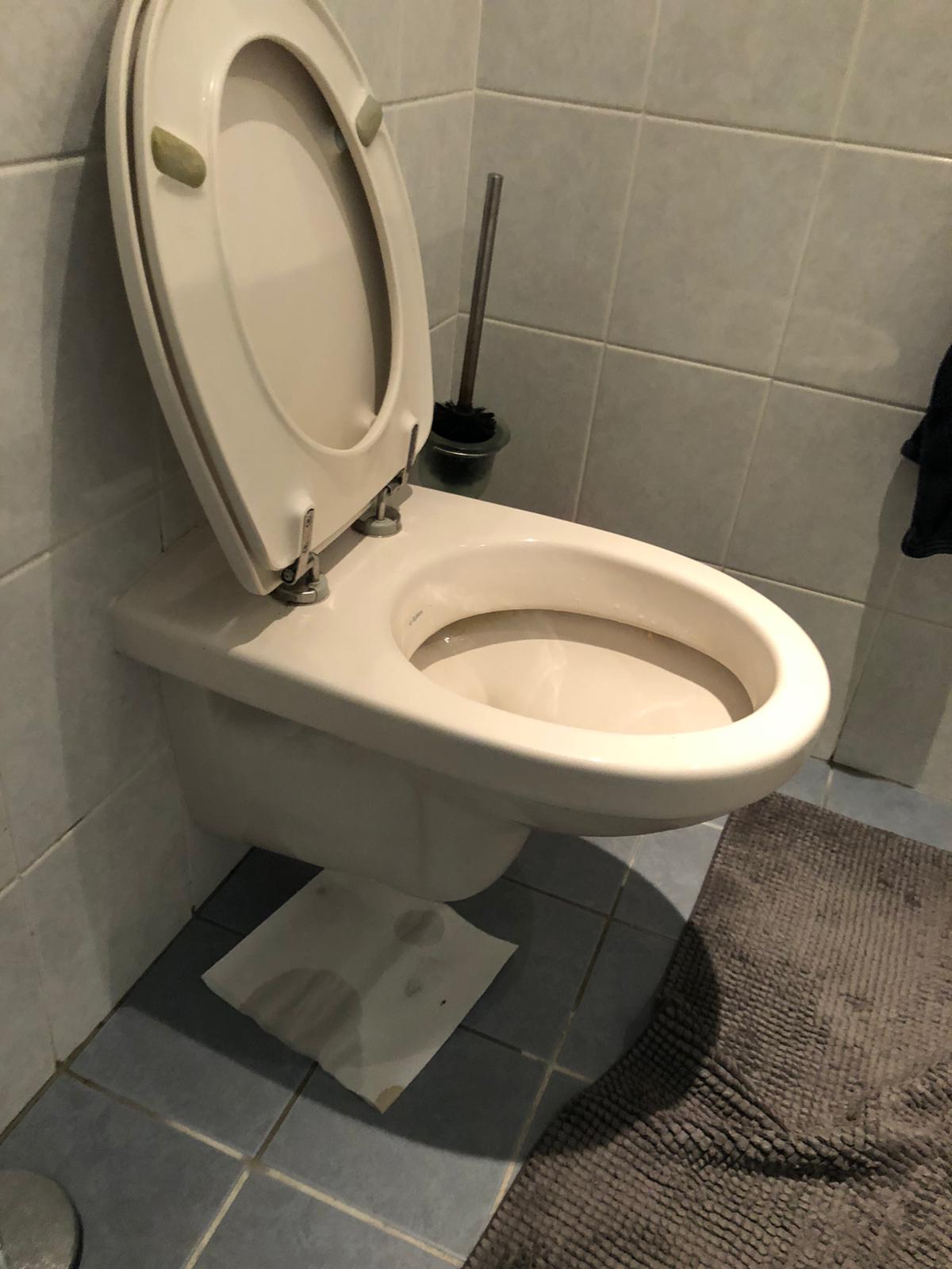 hangtoilet Noordwijkerhout